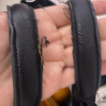 Bolso Armani Exchange se deformó rápido, soporte deficiente