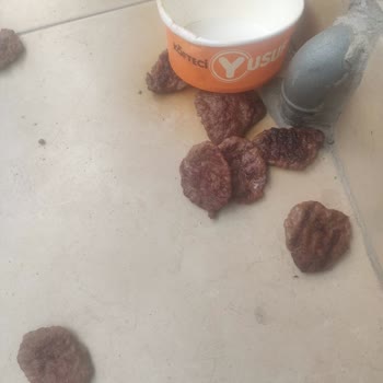 Yemeksepeti Kurye Poşeti Düşürdü, Yemek Teslim Edilmedi Ve İade Bekleniyor!