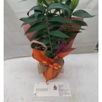 Sipariş Edilen Çiçeğin Görseliyle Uyuşmaması Ve Geri Ödeme Talebi