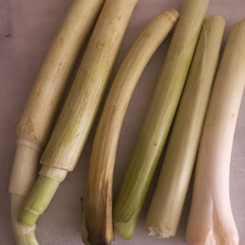 Sipariş Edilen Pırasalar Açık Ve Çürük Gönderildi