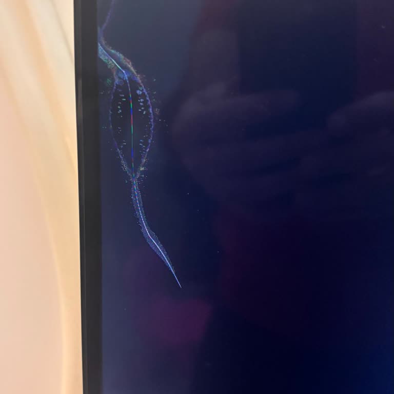 LG SJ850V Paneli Bulunamadığı Nedeniyle Kullanıcı Mağduriyet Yaşıyor