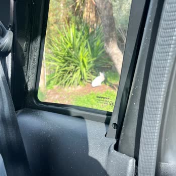 0 Km Fiat Topolino’da İlk Gün Su Alma Ve Yetkisiz Onarım Şikayeti