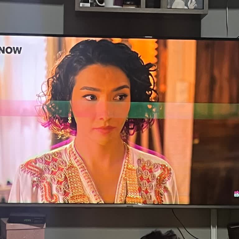 Vestel 65 İnç TV’ye Sürekli Pembe Çizgi Sorunu Ve Garanti Kapsamında Ücret Talebi