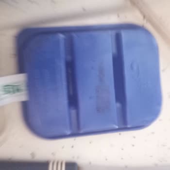 Küflenen Mis Peyniri Değişimi İçin Fiş Yok