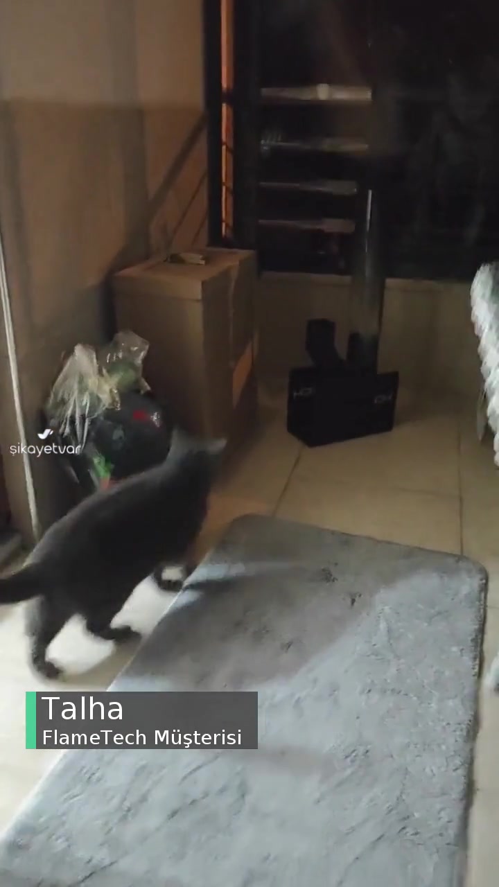 Flametech Pelet Soba videonun kapak resmi