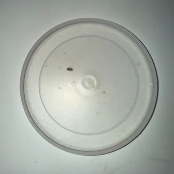 Hipp Organik Bebek Mamasında Canlı Larva: Sağlık Riski Ve Güven Kaybı!