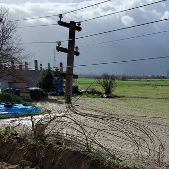 Gdz Elektrik Dağıtım Acil Direk Değişimi Ve Elektrik Tellerinin Güvenli Hale Getirilmesi Talebi
