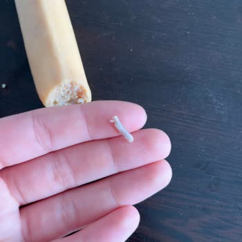 Keskinoğlu Sosisinde Kemik Parçası Bulundu