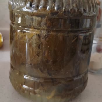 @naturellsalamur Yapraklar Kokmuş, Çürük ve Kesinlikle Kullanılamaz Durumdaydı