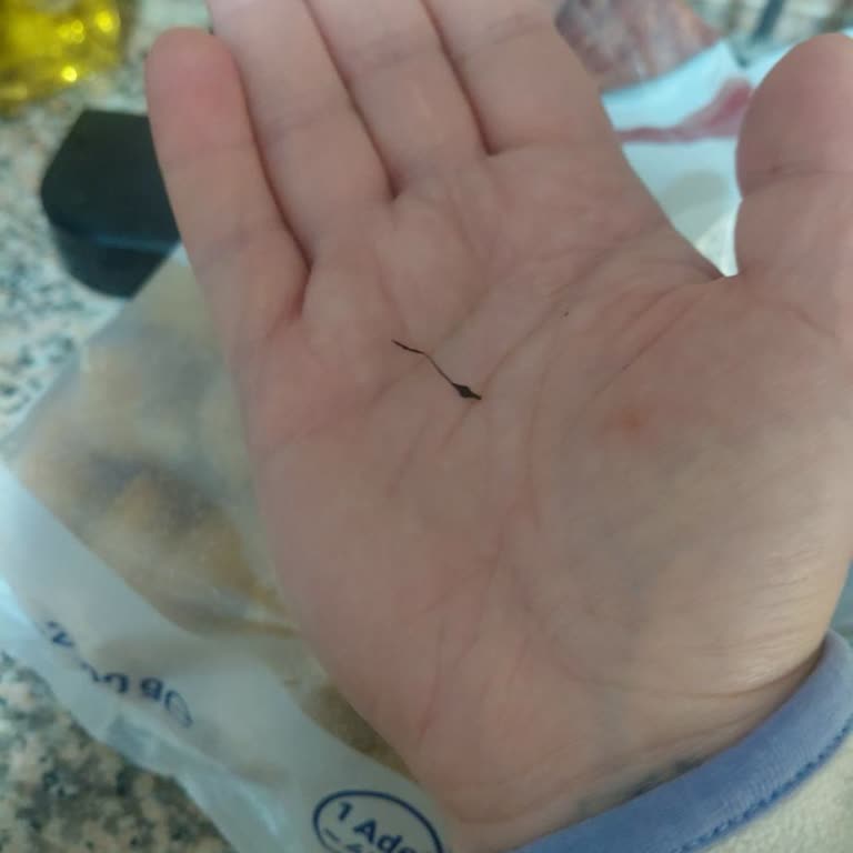 Metro Grossmarket Bursa Osmangazi Şubesinden Alınan İçli Köfte İçinde Yabancı Cisim