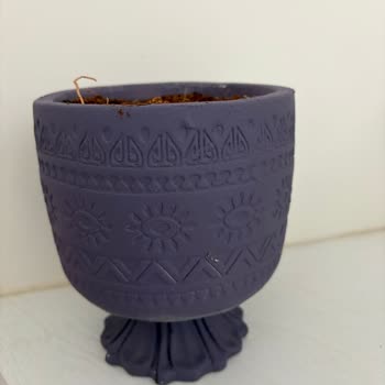 Bitki Dünyam Yanlı ve Hasarlı Ürün Gönderdi