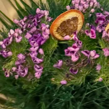 Hızlı Çiçek | Hizlicicek.com Teslim Edilen Ürün Görseldekiyle Hiçbir Şekilde Uyuşmuyordu