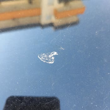 Citroen C5 Aircross Tavan Boyası Kusması Ve Soyulması Garantiden Kapsama Talebi