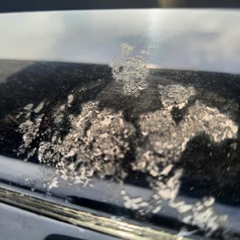 Citroen C5 Aircross Tavan Boyası Kusması Ve Soyulması Garantiden Kapsama Talebi