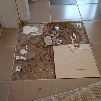 Eureko Sigorta’da Kırılan Seramiklerin Onarılmaması Ve Poliçe Yenileme Sorunu