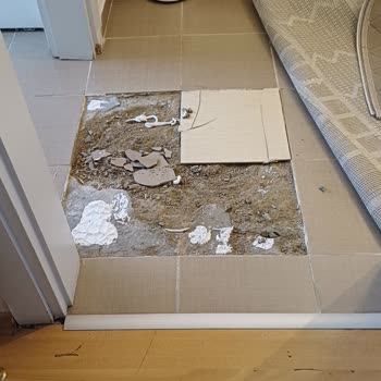 Eureko Sigorta’da Kırılan Seramiklerin Onarılmaması Ve Poliçe Yenileme Sorunu