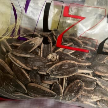 Çekirdekte Böcek Tespiti Ve Ücret İadesi Talebi