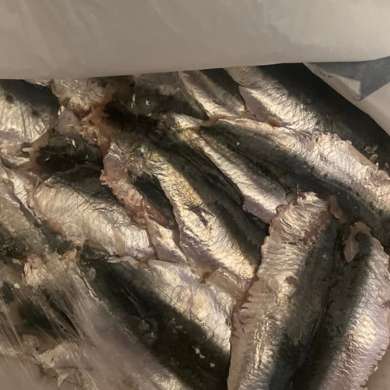 Dalyan Balıkçılık Şubesinde Bayat Hamsi Günlük Olarak Satılarak Sağlık Riski Oluşturuldu