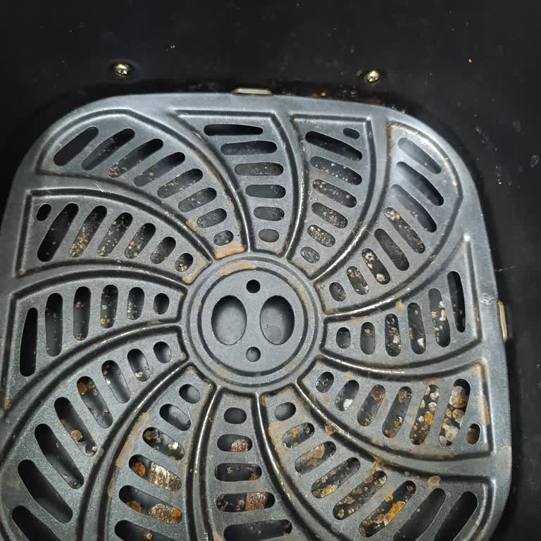 Kenwood Airfryer'da Paslanan Hazne İçin Garanti Kapsamı Talebi