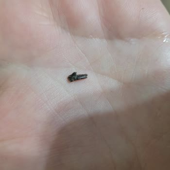 Sütaş Minimix Çocuk Sütü İçinde Plastik Parça Keşfedildi