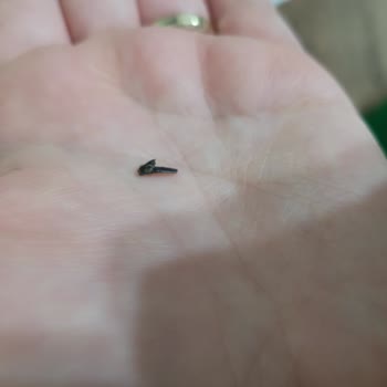 Sütaş Minimix Çocuk Sütü İçinde Plastik Parça Keşfedildi