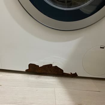 Bosch Çamaşır Makinesinde Paslanma Ve Su Sızıntısı Şikayeti