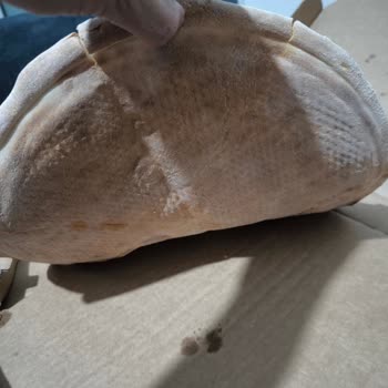 Domino’s’ta Saatlerce Beklediğimiz Yanmış Ve Soğuk Pizza İçin İade Talebi