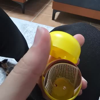 İçinde Oyuncak Olmayan Sürpriz Yumurta İçin Telafi Talebi