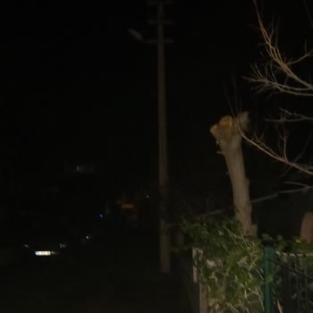 İzmir Urla Atatürk Mahallesi'nde Sokak Lambalarının Yanmaması Güvenlik Endişesine Yol Açıyor