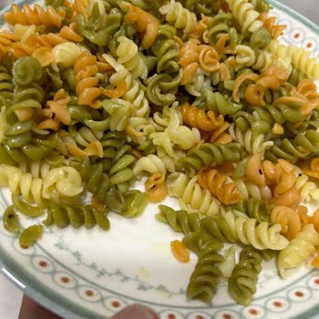 Nuh’un Ankara Sebzeli Burgu Makarnasında Sinek Çıkması Ve Hijyen Şikayeti