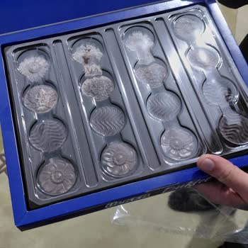 Ülker Buket Çikolatasında Bozulma Ve İç Dolgu Eksikliği