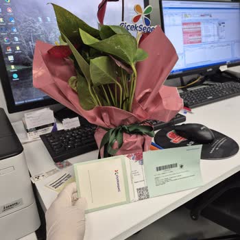 Ölü Çiçek Teslimatı Ve Özürlü Telafi Eksikliği