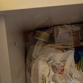 Fide Konserve Ton Balığı Patladı