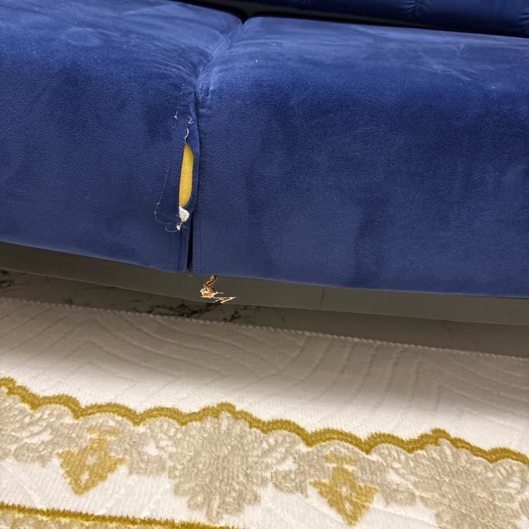 Evdiz Tekirdağ’da Kırılan Koltuk Takımı Ve Cevapsız Müşteri Hizmetleri