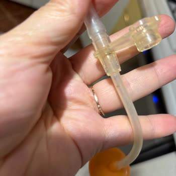 Munchkin Sulukta Tekrarlayan Küflenme Ve Hijyen Endişesi