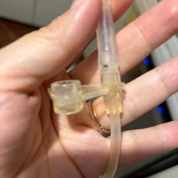 Munchkin Sulukta Tekrarlayan Küflenme Ve Hijyen Endişesi