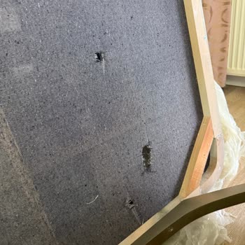 Livens Sofa Sandalyeler Yanlış Renkte Teslim Edildi