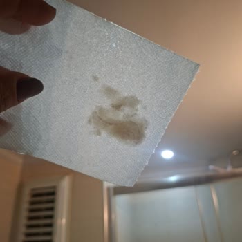 Solo Organik Bambu Katkılı Tuvalet Kağıdında Görüntü Sorunu Ve Hijyen Endişesi