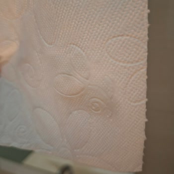 Solo Organik Bambu Katkılı Tuvalet Kağıdında Görüntü Sorunu Ve Hijyen Endişesi