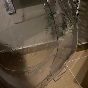 Garanti Kapsamında Su Haznesi Kırılan Hoover Kurutma Makinesi İçin Ücretsiz Parça Değişimi Talebi