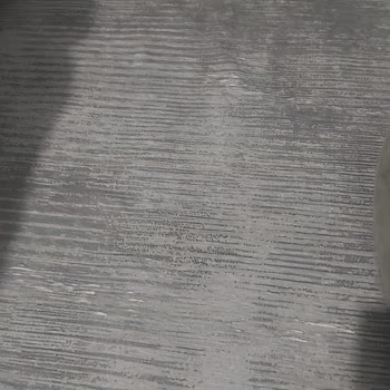 Geç Teslimat, Kirli Halılar Ve Yıkama Sonrası Bozulma