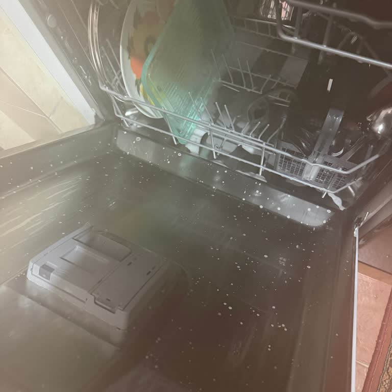 Arçelik 6466 Bulaşık Makinesinde Köpük Kalıntısı Sorunu Ve Geri Ödeme Talebi