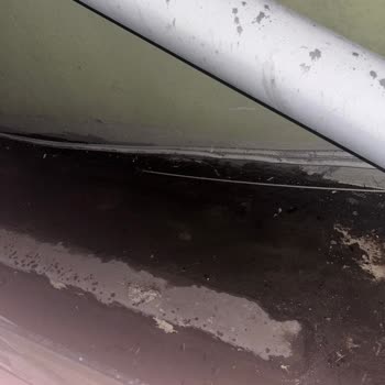 Köpekli Misafirime Verilen Balkonlu Oda Dar, Karanlık Ve Hijyenik Değil