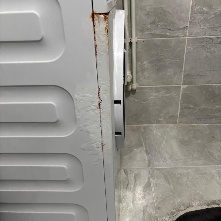 Arçelik Prosmart Çamaşır Makinesinde Kısa Sürede Kabarma Ve Paslanma Oluşumu