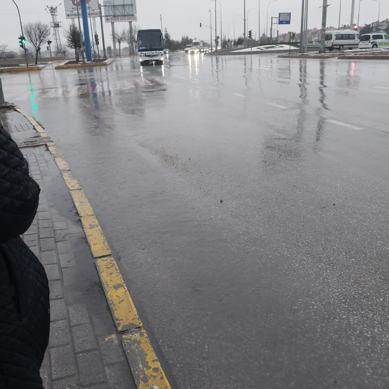 Annemin Yaşına Rağmen Yağmurda Yürütülmesi Ve Şoförün Saygısız Tutumu