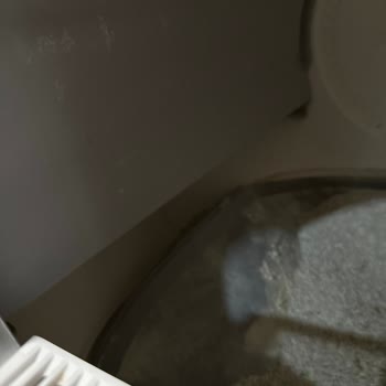 Yasomi Kedi Kumu Cihazının Ped Sorunu Tekrarlıyor Ve Ücretsiz Yeni Ped Talebi