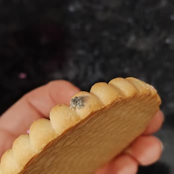 Şok Market’te Eti Cin Bisküvisi Küflü Çıktı