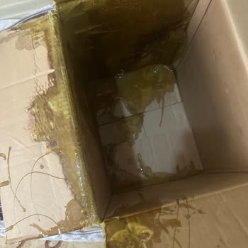 Patlamış Domestos Şişeleri İçin Hızlı Değişim Talebi