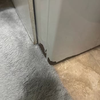 Beko Çamaşır Makinesinde Boya Sorunu Ve Ücretsiz Değişim Talebi