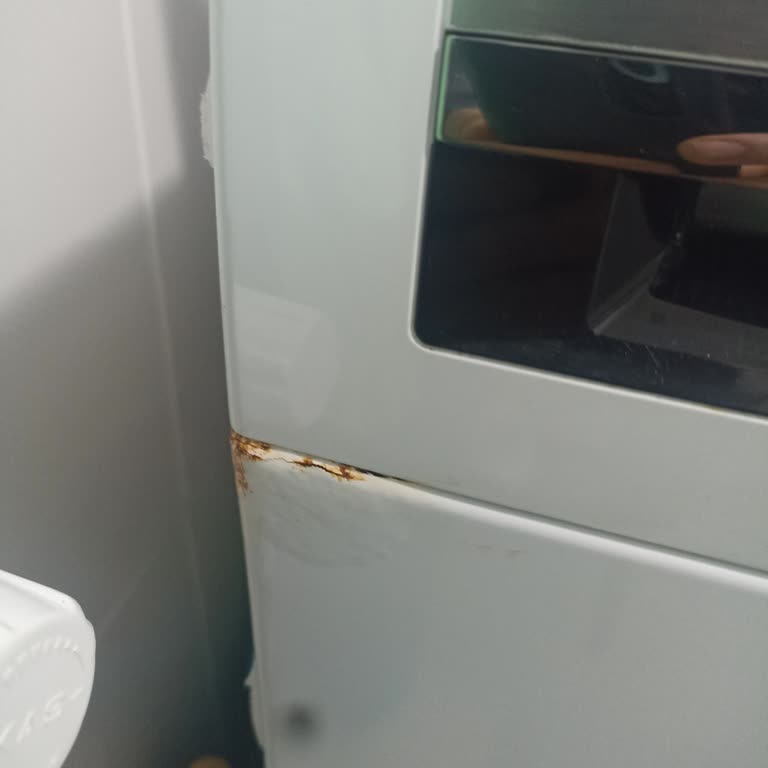 Bosch Serie 4 Çamaşır Makinesinde Hızlı Boya Çürümesi Ve Kabarma